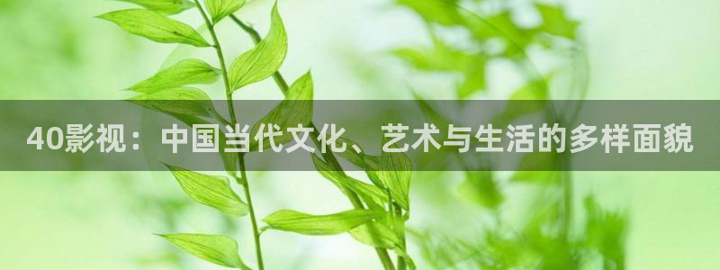 玖玖热久久精品视频在线观看