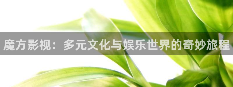 玖玖污精品免费视频