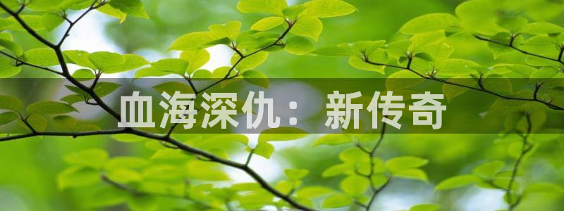 999zyz玖玖资源站免费中文视频