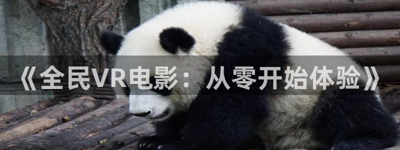 在线电影玖玖玖