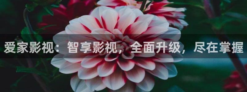 玖玖视频免费观看：爱家影视：智享影视，全面升级，尽在掌握
