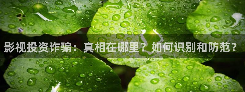 玖玖视频在线观看免费视频：影视投资诈骗：真相在哪里？如何识别和防范？