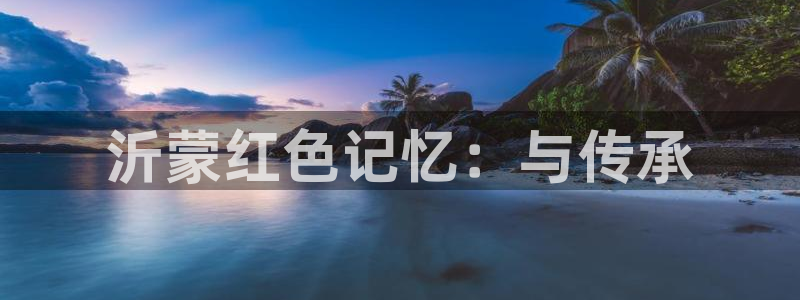 玖玖爱在线视频网站：沂蒙红色记忆：与传承