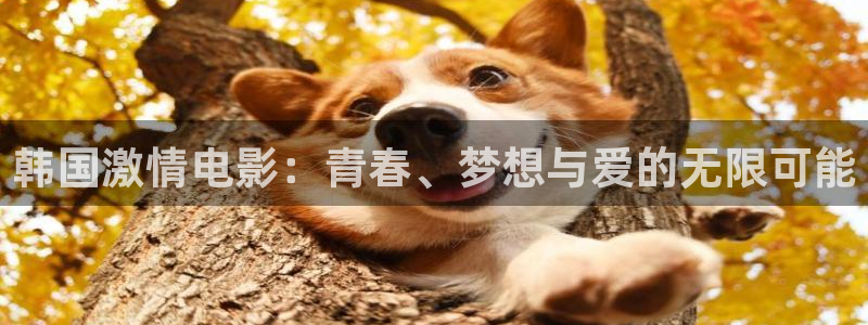 玖玖爱精品在线视频